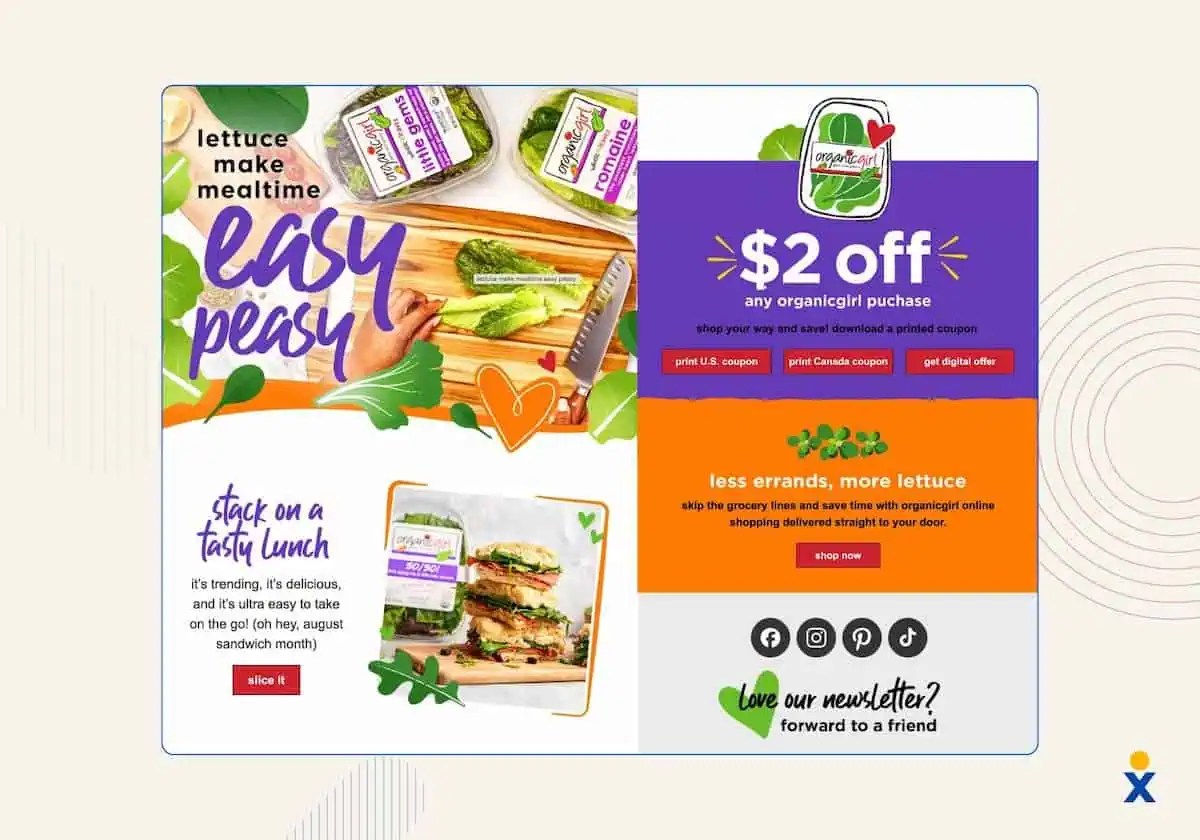 A screenshot shows an example of an email newsletter for a grocery store product as an example of marketing communication tools