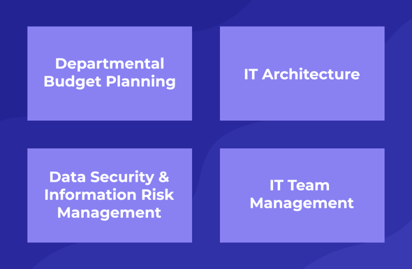 CIO Career Path: Responsibilities